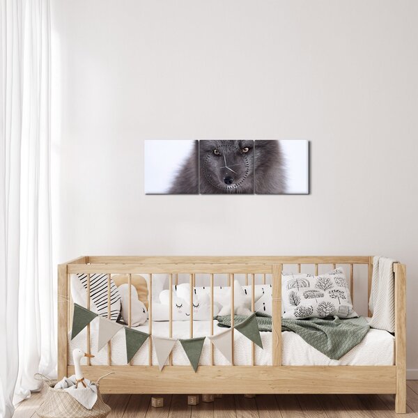 Tablou cu vulpe polară (cu ceas) (90x30 cm)