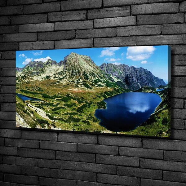Pictură pe pânză Valley în munți