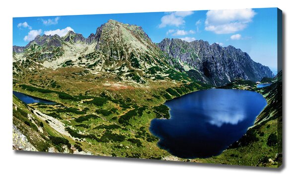 Pictură pe pânză Valley în munți