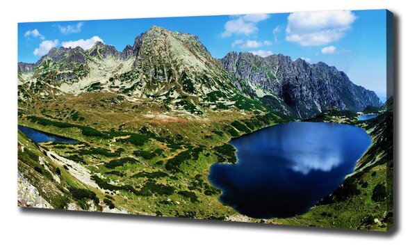 Pictură pe pânză Valley în munți