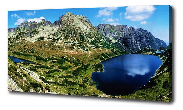 Pictură pe pânză Valley în munți