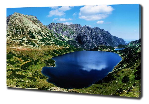 Pictură pe pânză Valley în munți