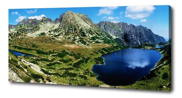 Pictură pe pânză Valley în munți