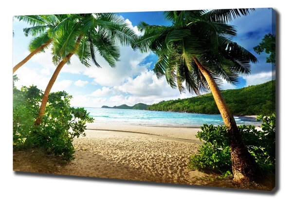 Imprimare tablou canvas Palmieri pe plaja