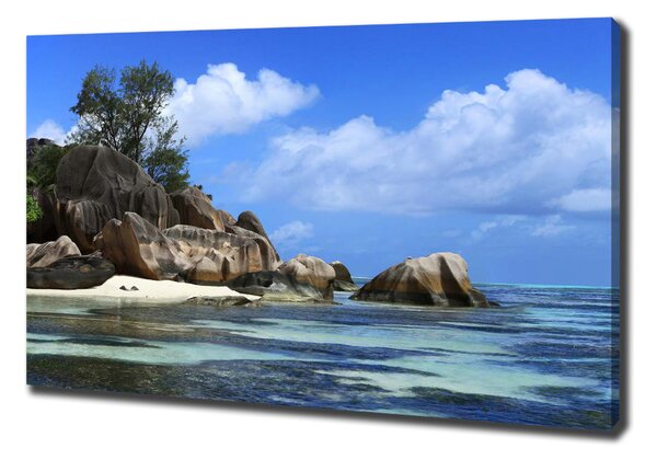 Print pe pânză Seychelles panorama