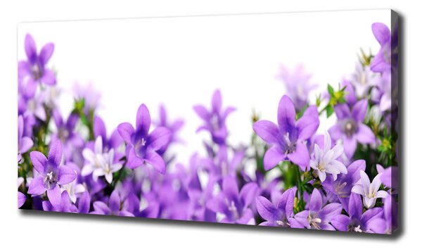 Print pe canvas clopote violet