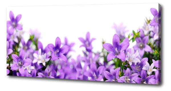 Print pe canvas clopote violet