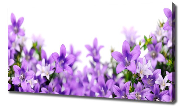 Print pe canvas clopote violet