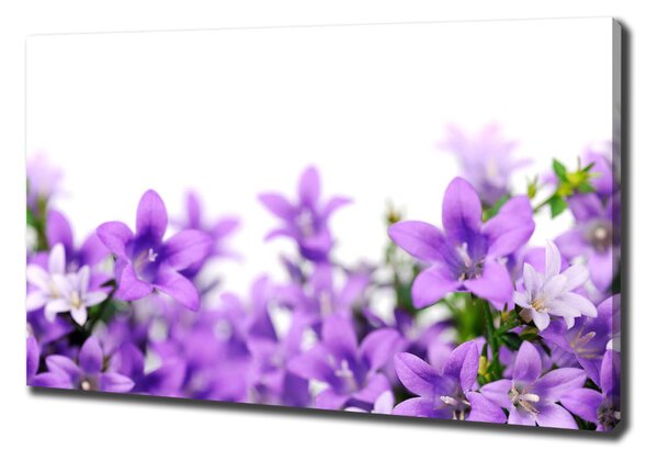 Print pe canvas clopote violet