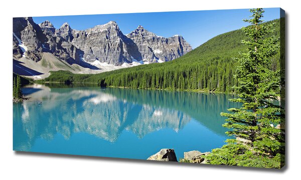 Pictură pe pânză Lacul în munți