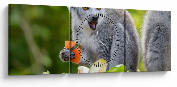 Tablou cu lemur (cu ceas) (90x30 cm)