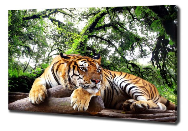 Tablou canvas Tiger pe stâncă