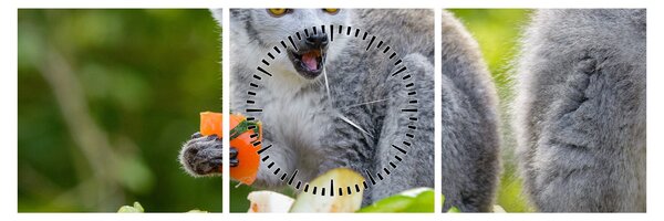 Tablou cu lemur (cu ceas) (90x30 cm)