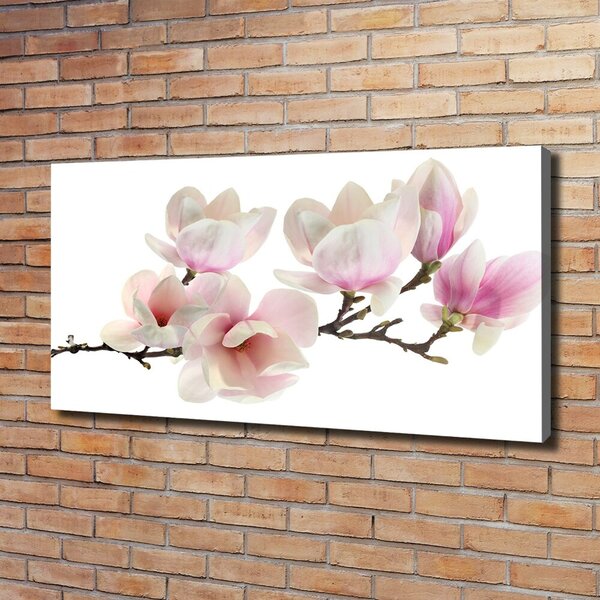 Print pe canvas Magnolie