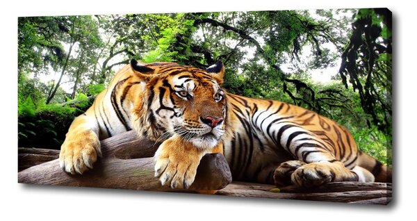 Tablou canvas Tiger pe stâncă