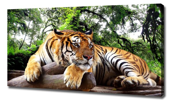 Tablou canvas Tiger pe stâncă