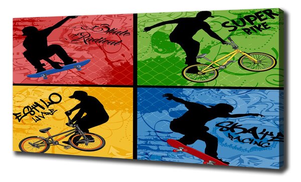 Tablou canvas Biciclete și skateboard