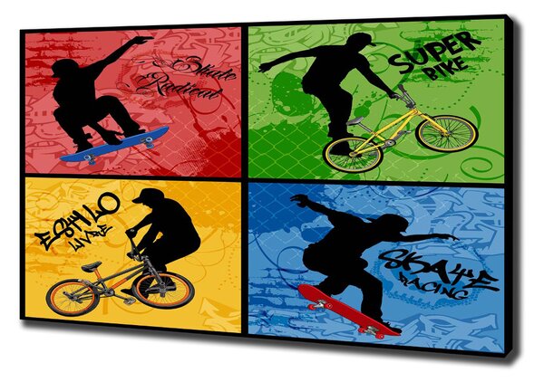 Tablou canvas Biciclete și skateboard
