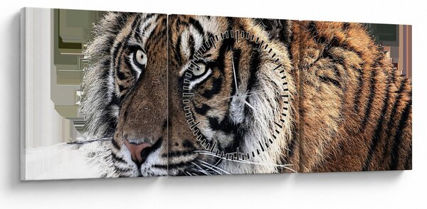 Tablou cu tigrul (cu ceas) (90x30 cm)