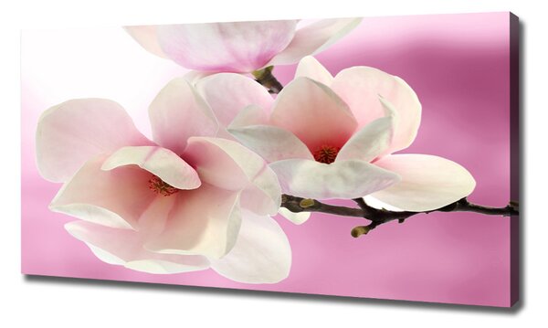 Tablou pe pânză Magnolie