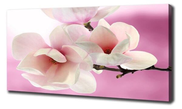 Tablou pe pânză Magnolie