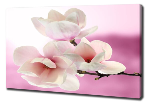 Tablou pe pânză Magnolie