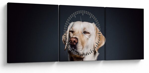 Tablou cu labrador (cu ceas) (90x30 cm)