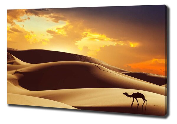 Print pe pânză cămilă Sahara