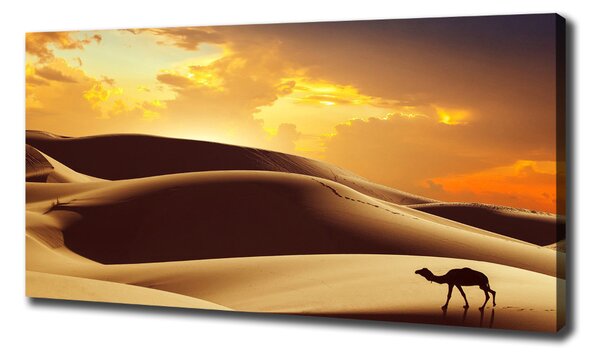 Print pe pânză cămilă Sahara
