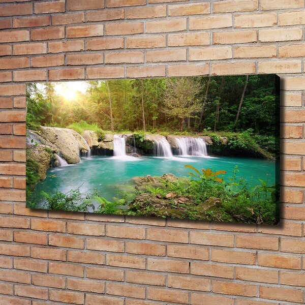 Tablou canvas Cascada din pădure