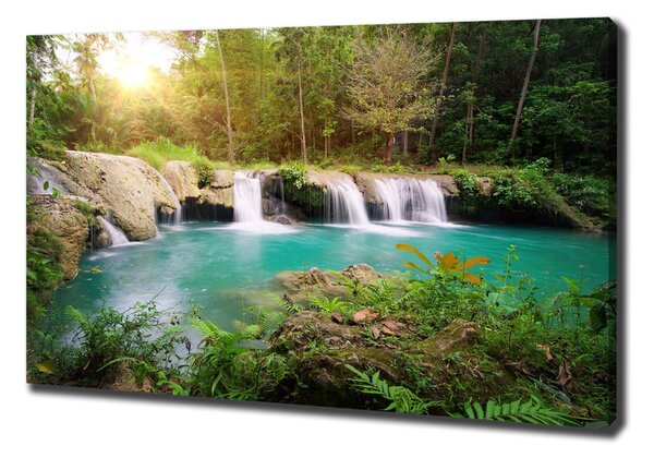 Tablou canvas Cascada din pădure