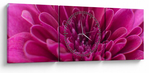 Tablou cu floare (cu ceas) (90x30 cm)
