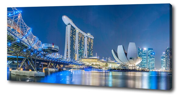 Tablou pe pânză Singapore timp de noapte