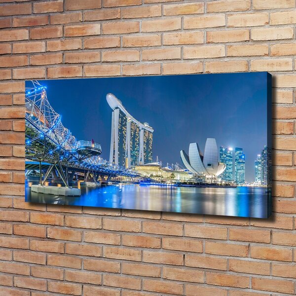 Tablou pe pânză Singapore timp de noapte