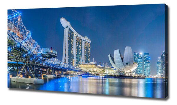 Tablou pe pânză Singapore timp de noapte