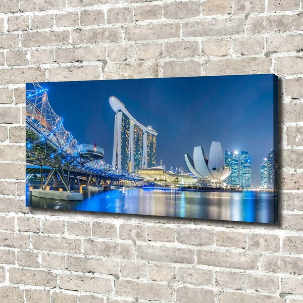 Tablou pe pânză Singapore timp de noapte