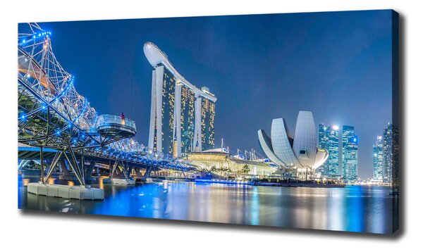 Tablou pe pânză Singapore timp de noapte