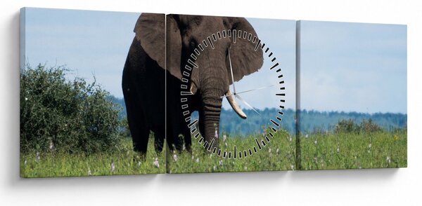 Tablou cu elefant (cu ceas) (90x30 cm)