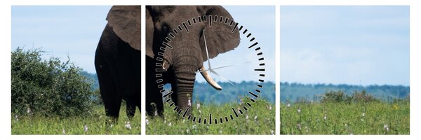 Tablou cu elefant (cu ceas) (90x30 cm)