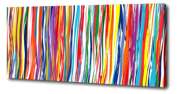 Print pe canvas dungi colorate