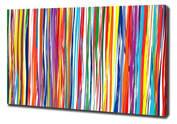 Print pe canvas dungi colorate