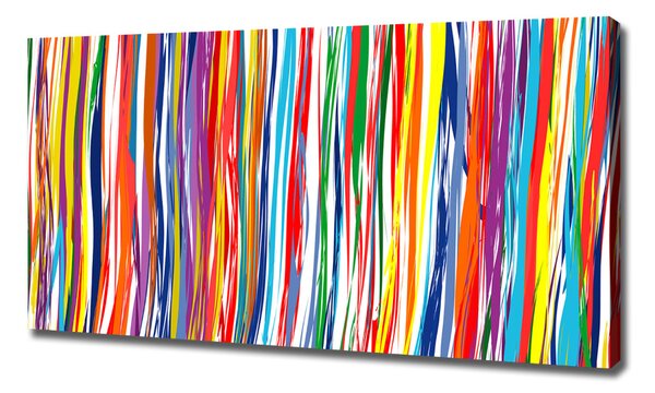 Print pe canvas dungi colorate