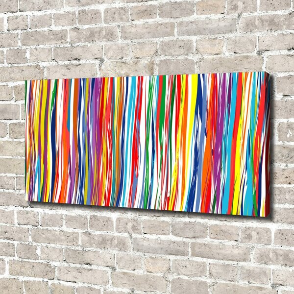 Print pe canvas dungi colorate