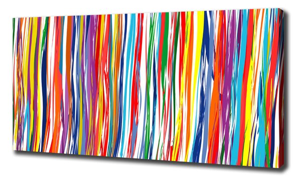 Print pe canvas dungi colorate