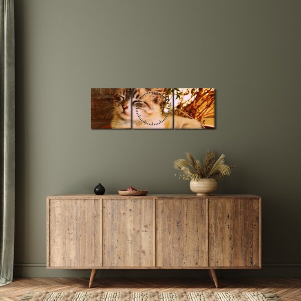 Tablou cu pisica în ghiveci (cu ceas) (90x30 cm)