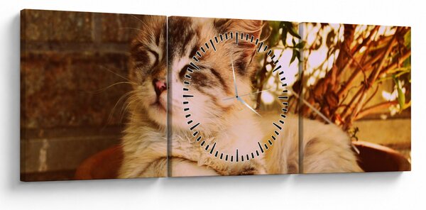 Tablou cu pisica în ghiveci (cu ceas) (90x30 cm)