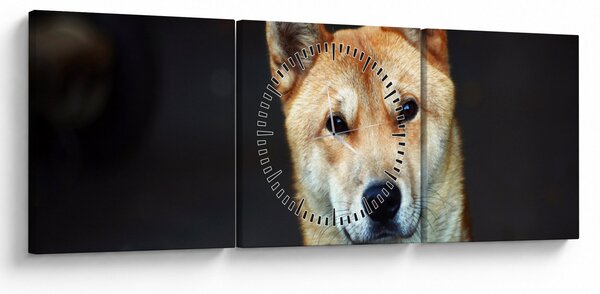 Tablou cu câine (cu ceas) (90x30 cm)