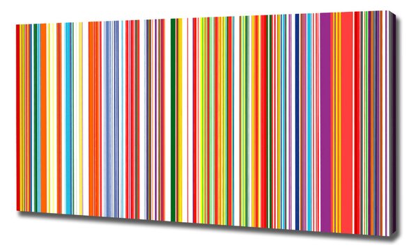 Tablou pe pânză canvas dungi colorate