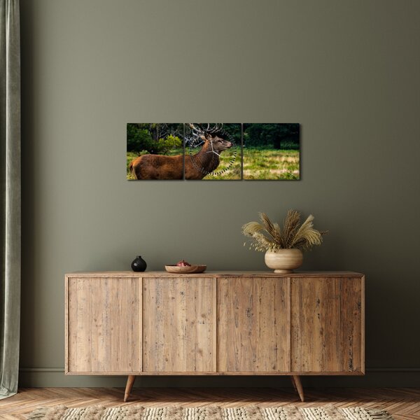 Tablou cu cerb (cu ceas) (90x30 cm)