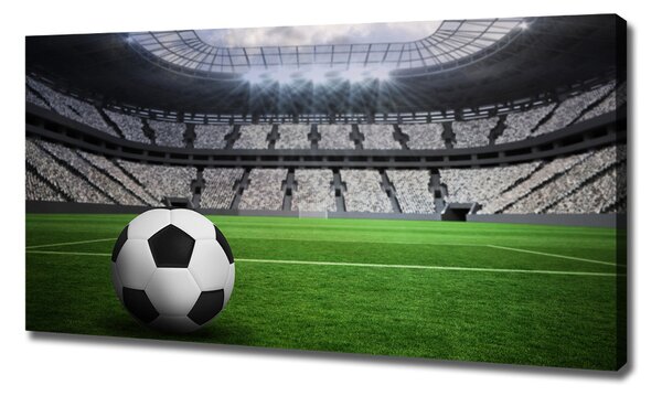 Tablou canvas Stadion de fotbal